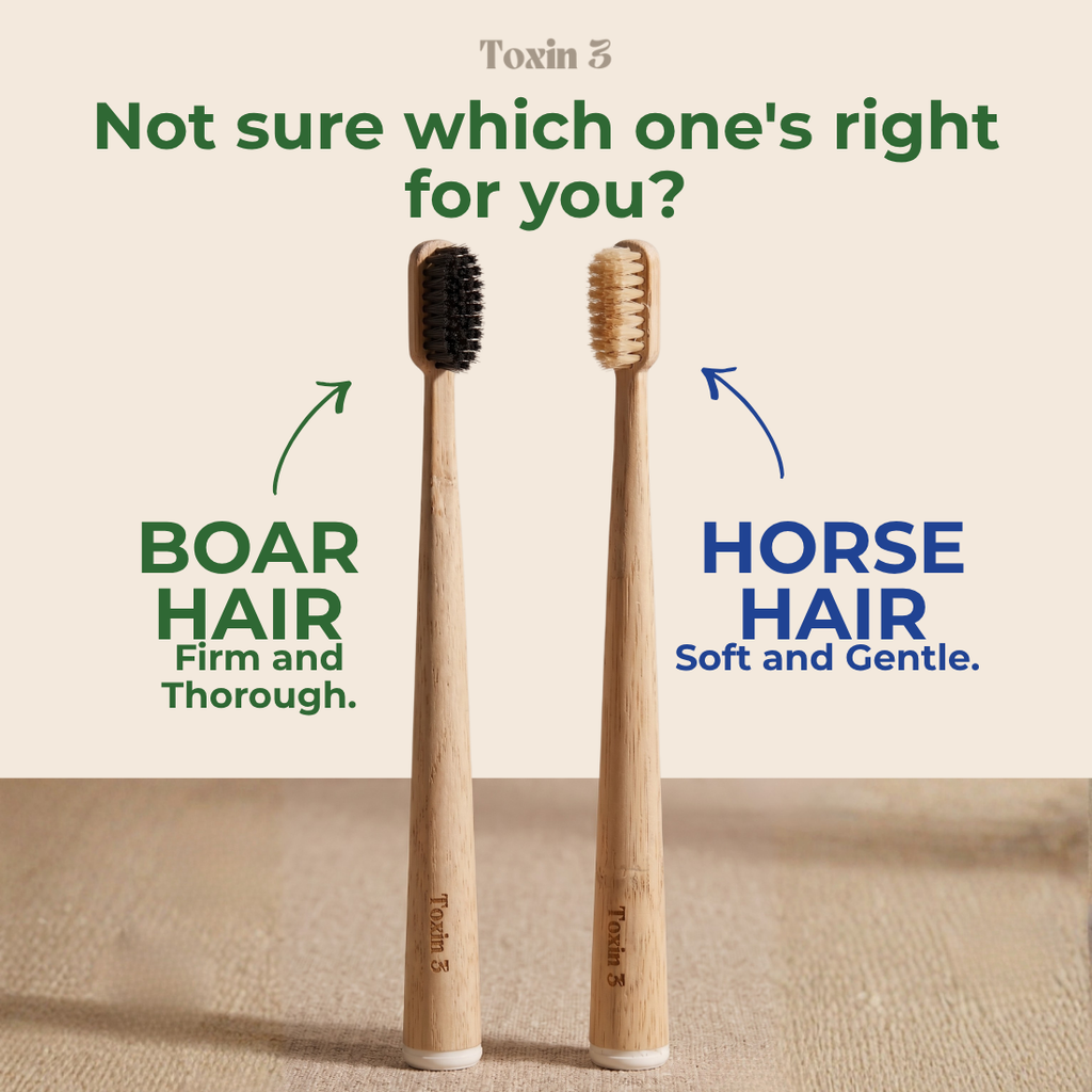 Toxin 3 Plastic-Free Toothbrush - Boar or Horse Hair (4-pack)