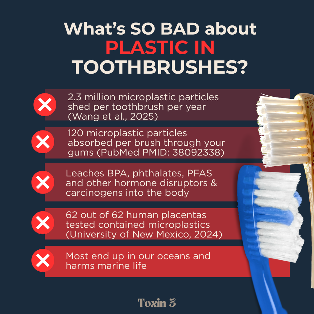 Toxin 3 Plastic-Free Toothbrush - Boar or Horse Hair (4-pack)