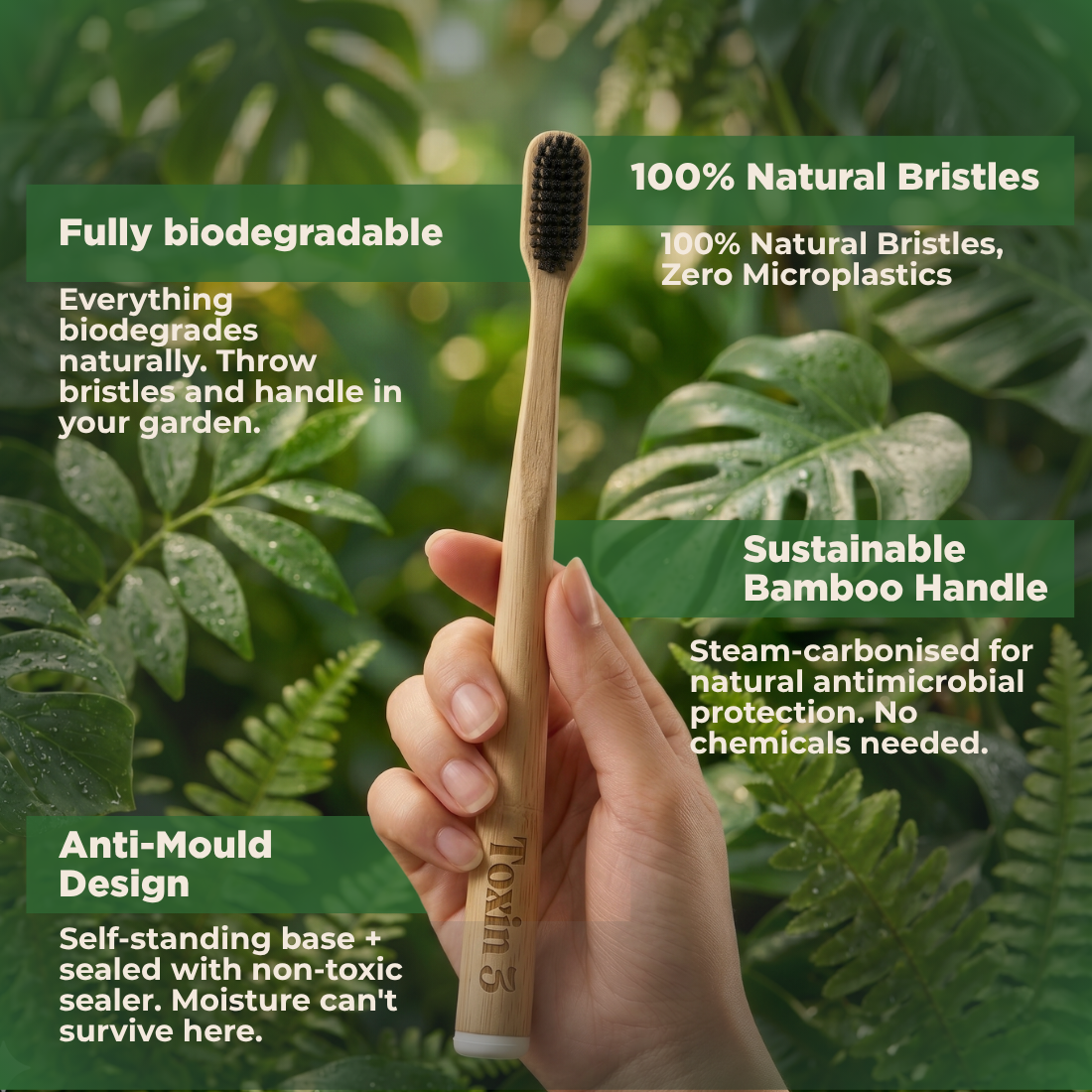 Toxin 3 Plastic-Free Toothbrush - Boar or Horse Hair (4-pack)